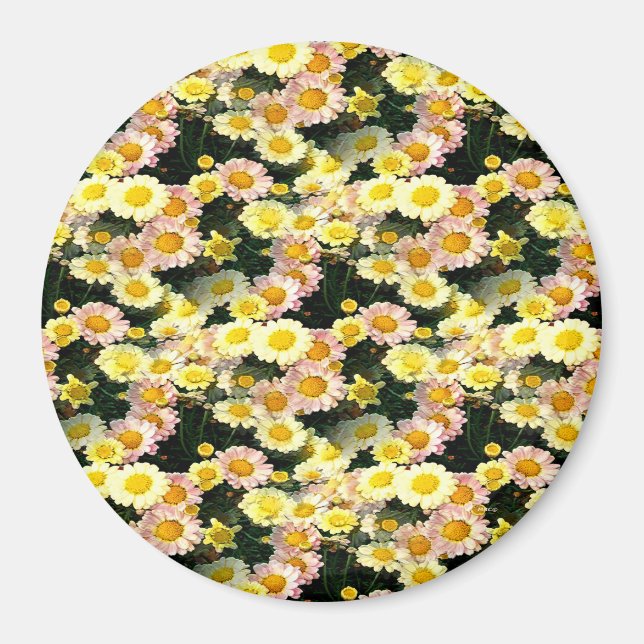 Daisy Galore.... Magnet (Framsidan)