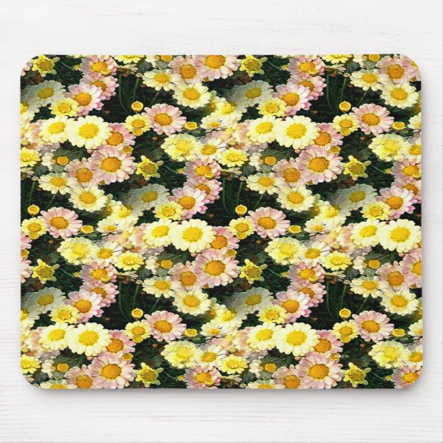 Daisy Galore..... Musmatta (Framsidan)