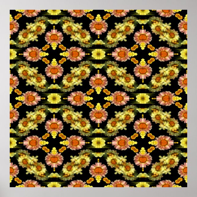 Daisy Galore.... Poster (Framsidan)