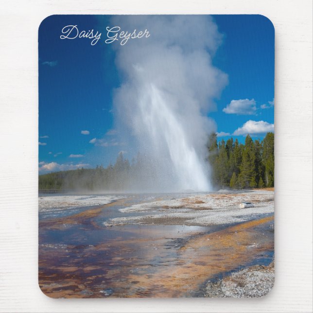 Daisy Geyser Erupting Yellowstone nationalpark Musmatta (Framsidan)