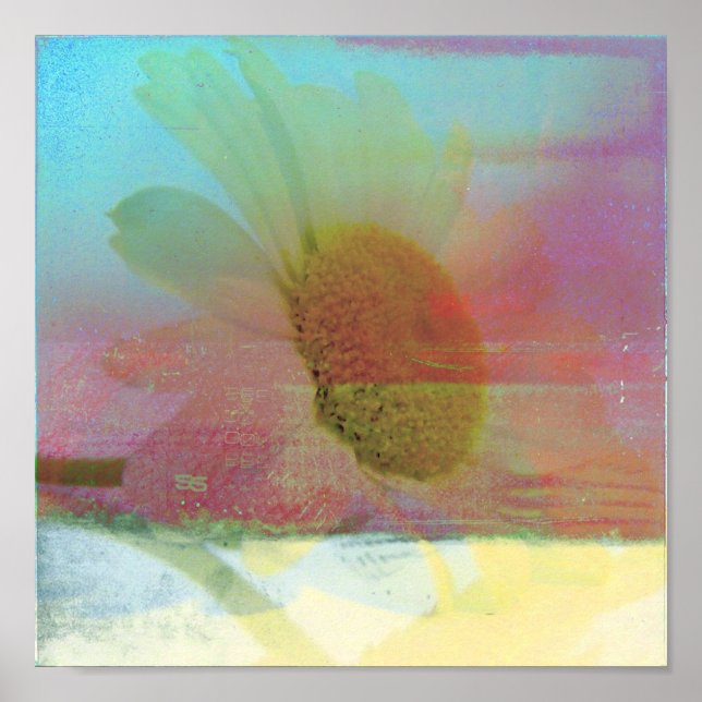 Daisy Glitch Poster (Framsidan)