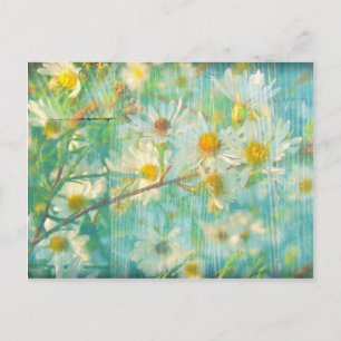 Daisy Grunge Vykort