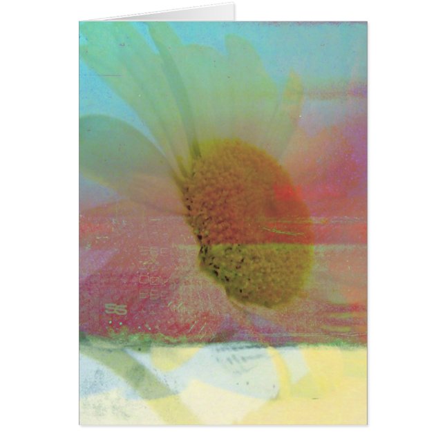 Daisy Hälsningskort (Framsidan)