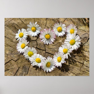 Daisy Heart Poster