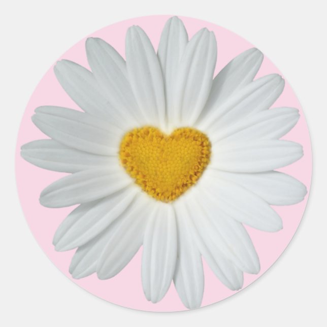 Daisy Heart Runt Klistermärke (Framsida)