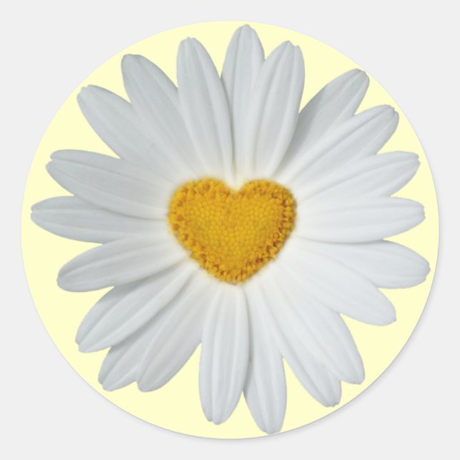 Daisy Heart Runt Klistermärke (Framsida)