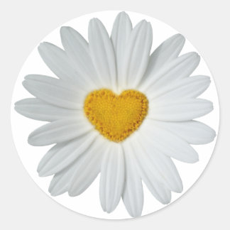 Daisy Heart Runt Klistermärke