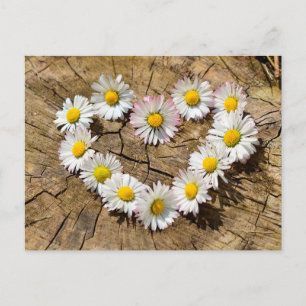 Daisy Heart Vykort