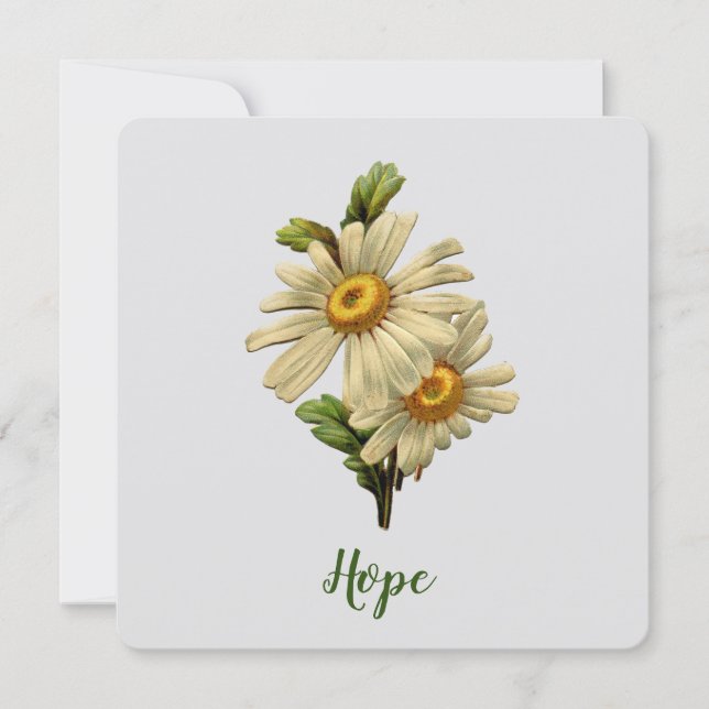 Daisy Hope inspiration (Framsida)
