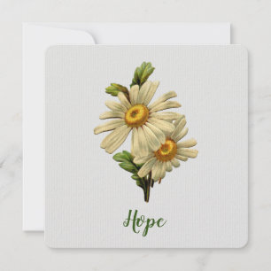 Daisy Hope inspiration