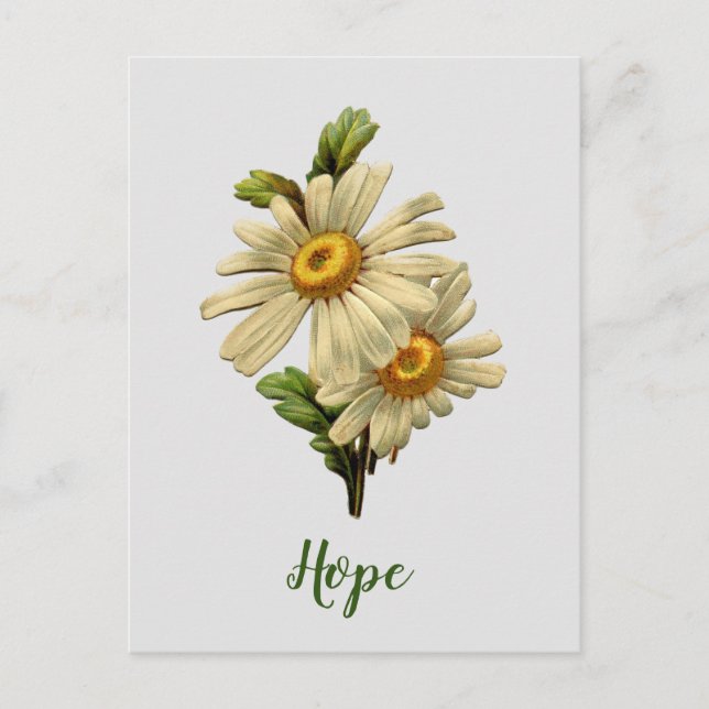 Daisy Hope Inspirerande Vykort (Framsida)