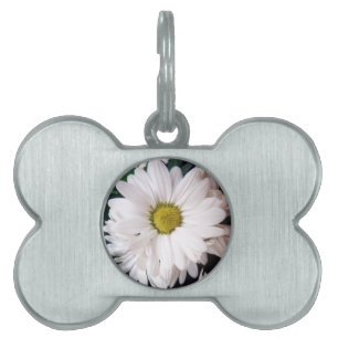 *Daisy*hundhalsbandmärkre ID-bricka Husdjur