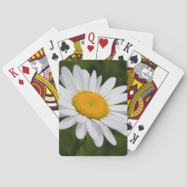 Daisy i blom spel kort