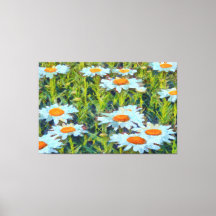 Daisy i en Blommigt i Garden Flowerbed