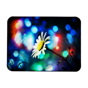 Daisy i mousserande Ljus Magnet