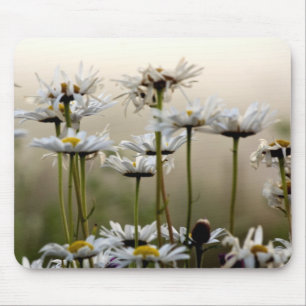 Daisy i musknappen musmatta