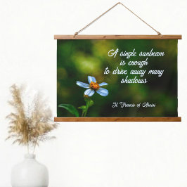 Daisy i Shadows St Francis of Assisi Quote
