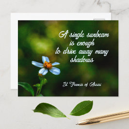 Daisy i Shadows St Francis of Assisi Quote Vykort