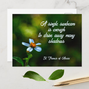 Daisy i Shadows St Francis of Assisi Quote Vykort