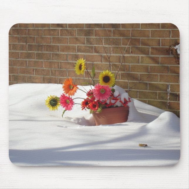 Daisy i snön musmatta (Framsidan)