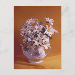 Daisy i Tekannan PostCard Vykort