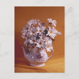 Daisy i Tekannan PostCard Vykort