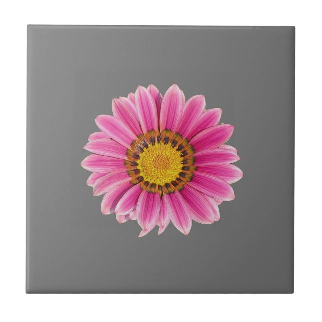 Daisy inom Rosa Kakelplatta (Framsidan)