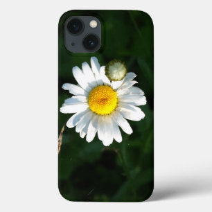 Daisy iPhone 6/6s, Tuff Xtreme