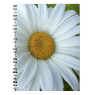 Daisy Journal i Daisy för vanliga bärbara datorer Anteckningsbok Med Spiral