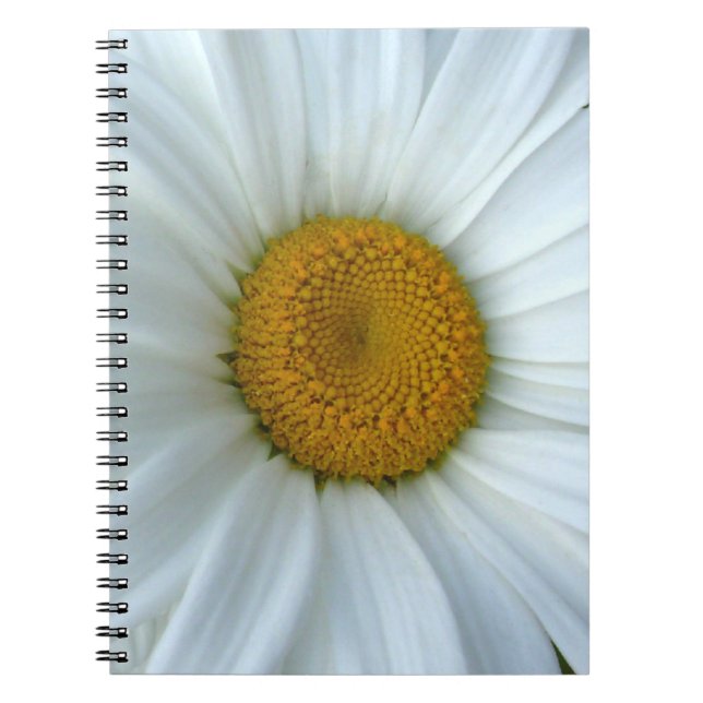 Daisy Journal i Daisy för vanliga bärbara datorer Anteckningsbok Med Spiral (Framsidan)