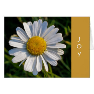 DAISY JOY-kort Hälsningskort