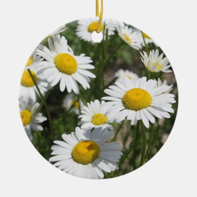 Daisy Julgransprydnad Keramik (Framsidan)