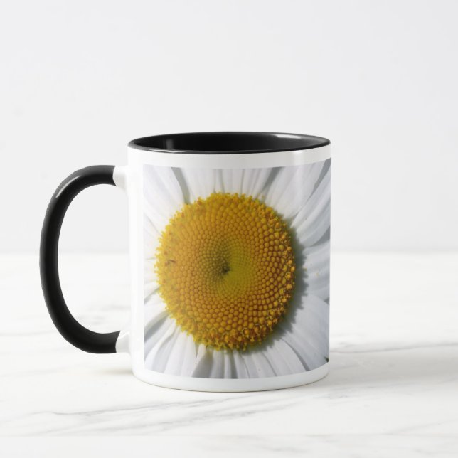 DAISY KAFFE KOPPAR - DESIGNER KITCHEN-OBJEKT - GIF (Vänster)