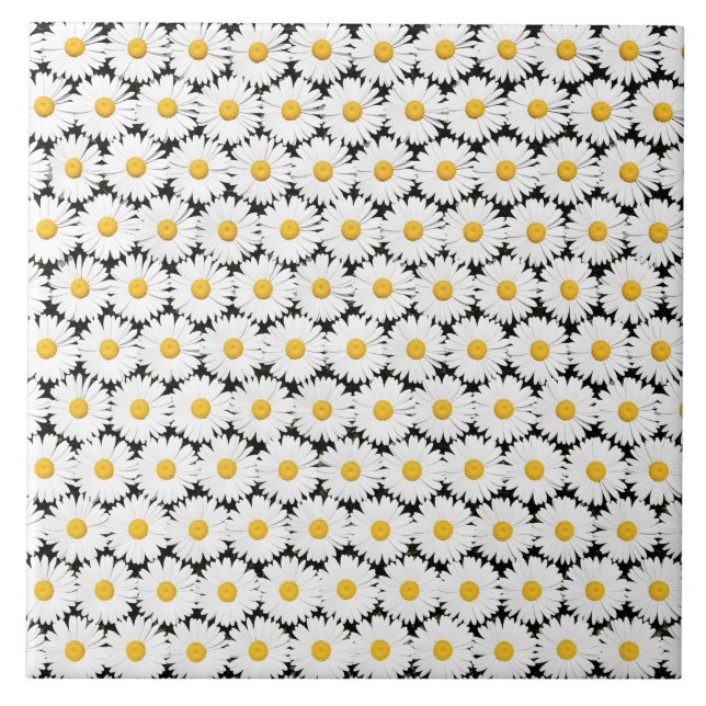 Daisy Kakelplatta (Framsidan)