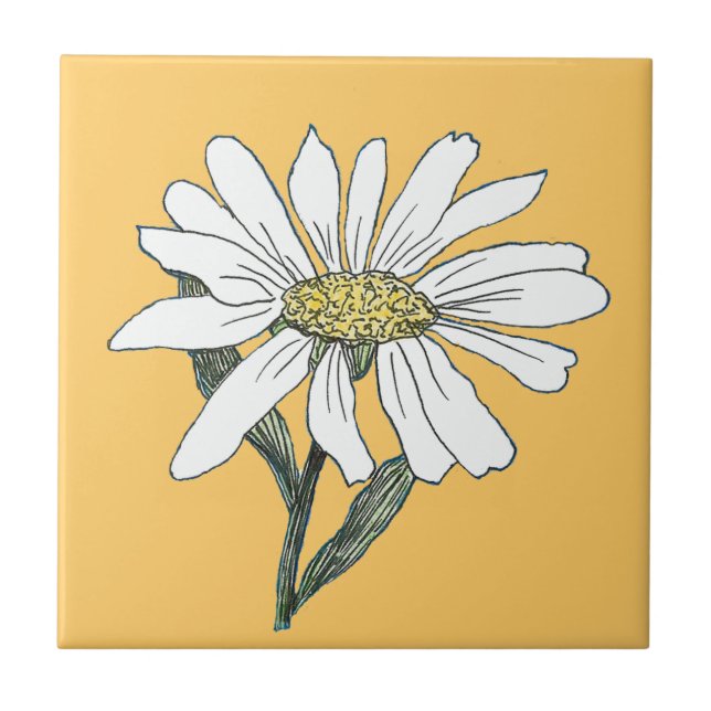 Daisy Kakelplatta (Framsidan)
