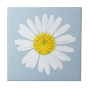 Daisy Kakelplatta