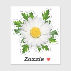 Daisy Klistermärken