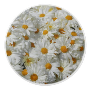 Daisy Knopp