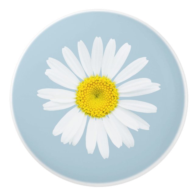 Daisy Knopp (Framsidan)