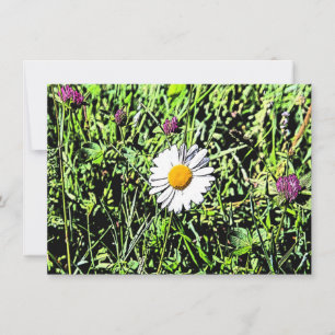 Daisy-kort