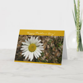 Daisy-kort för Lycklig Mors dag Kort