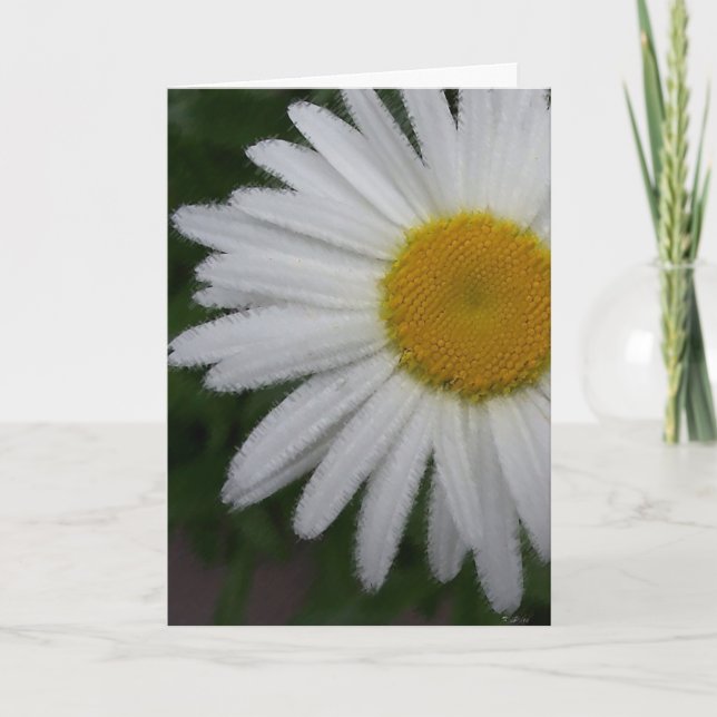 Daisy-kort (mjuk skiss) kort (Framsida)