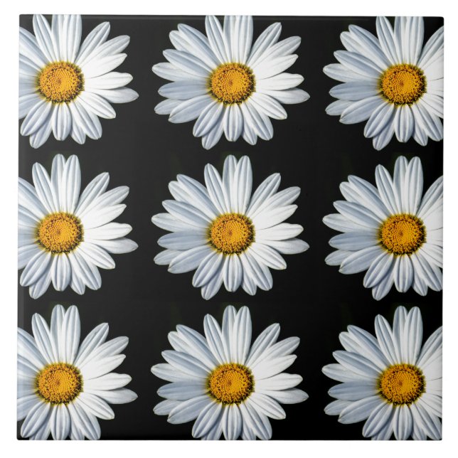 Daisy Mae Kakelplatta (Framsidan)