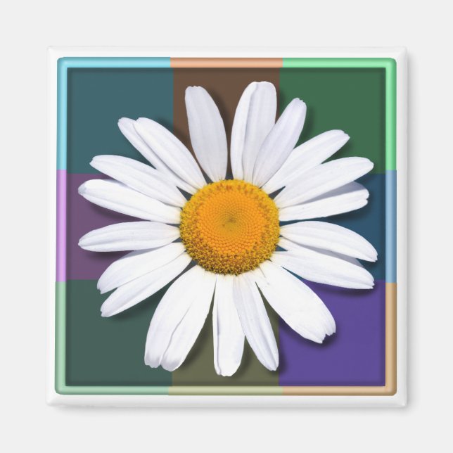 Daisy magnet (Framsidan)