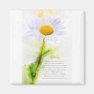 Daisy Magnet