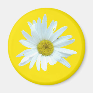Daisy magnet