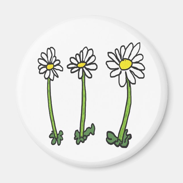 Daisy Magnet (Framsidan)