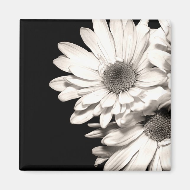 Daisy Magnet (Framsidan)