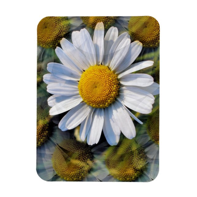 DAISY MAGNET (Vertikal)