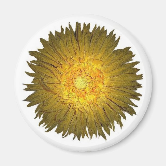 Daisy Magnet (Framsidan)